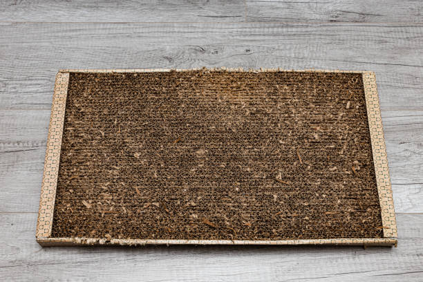 best earthing sheets