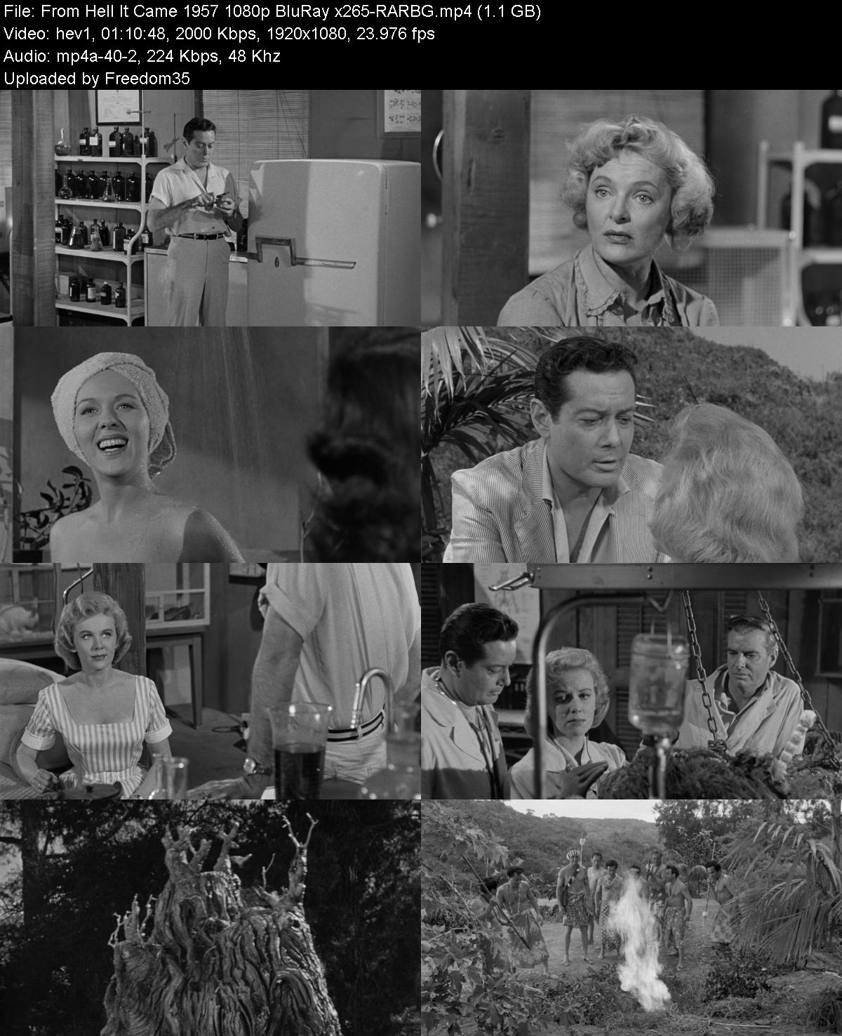 From-Hell-It-Came-1957-1080p-Blu-Ray-x26