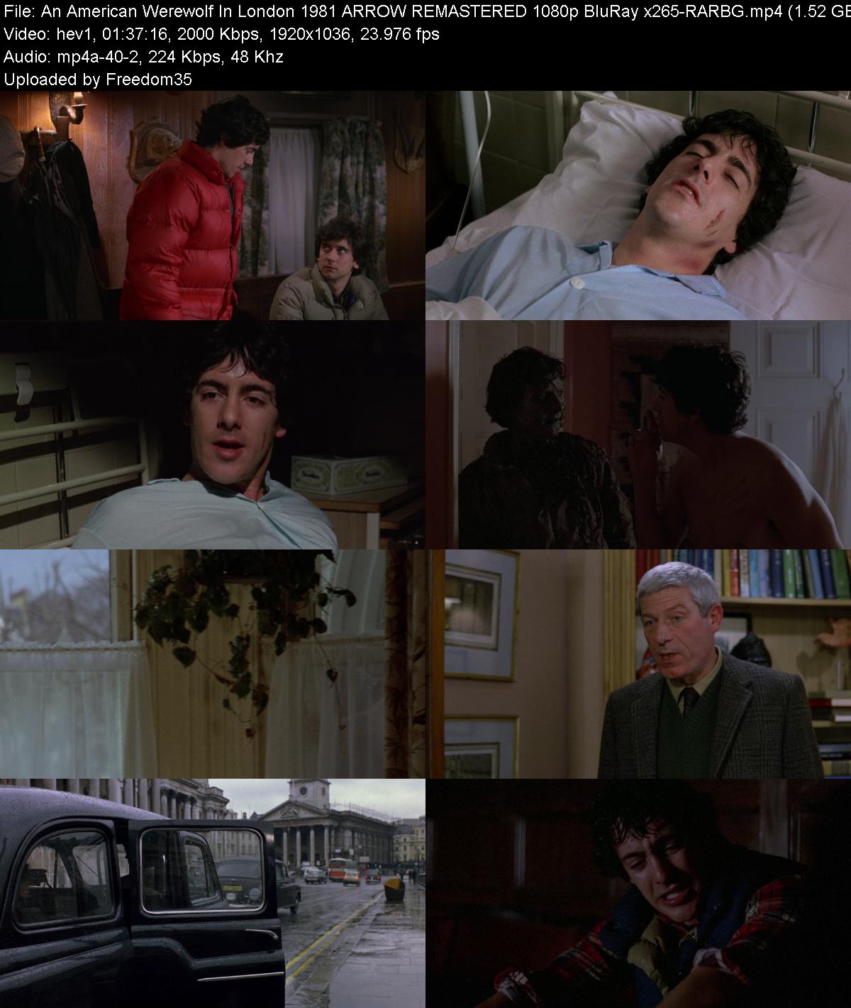 An-American-Werewolf-In-London-1981-ARRO