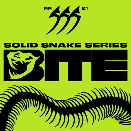 VA - Solid Sne Series 01 (2025)