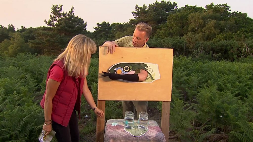 [Image: 0asx8raw7b1m.jpg]