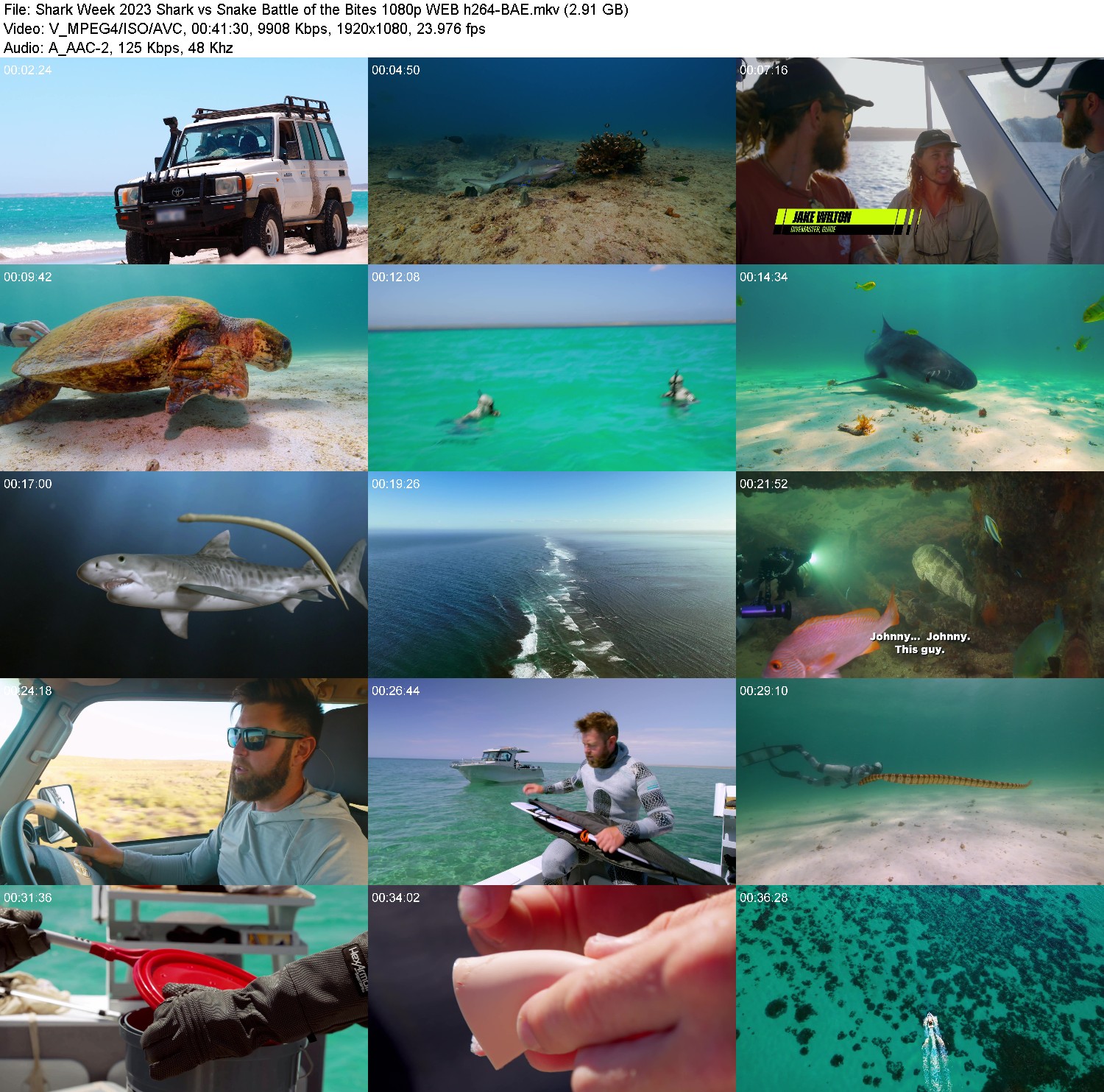 [Image: g5rocg7qm79h.jpg]