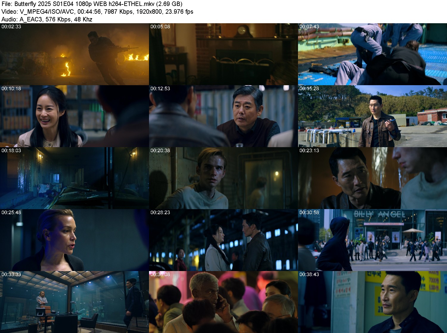 [Image: 476kqj2zzyvo.jpg]