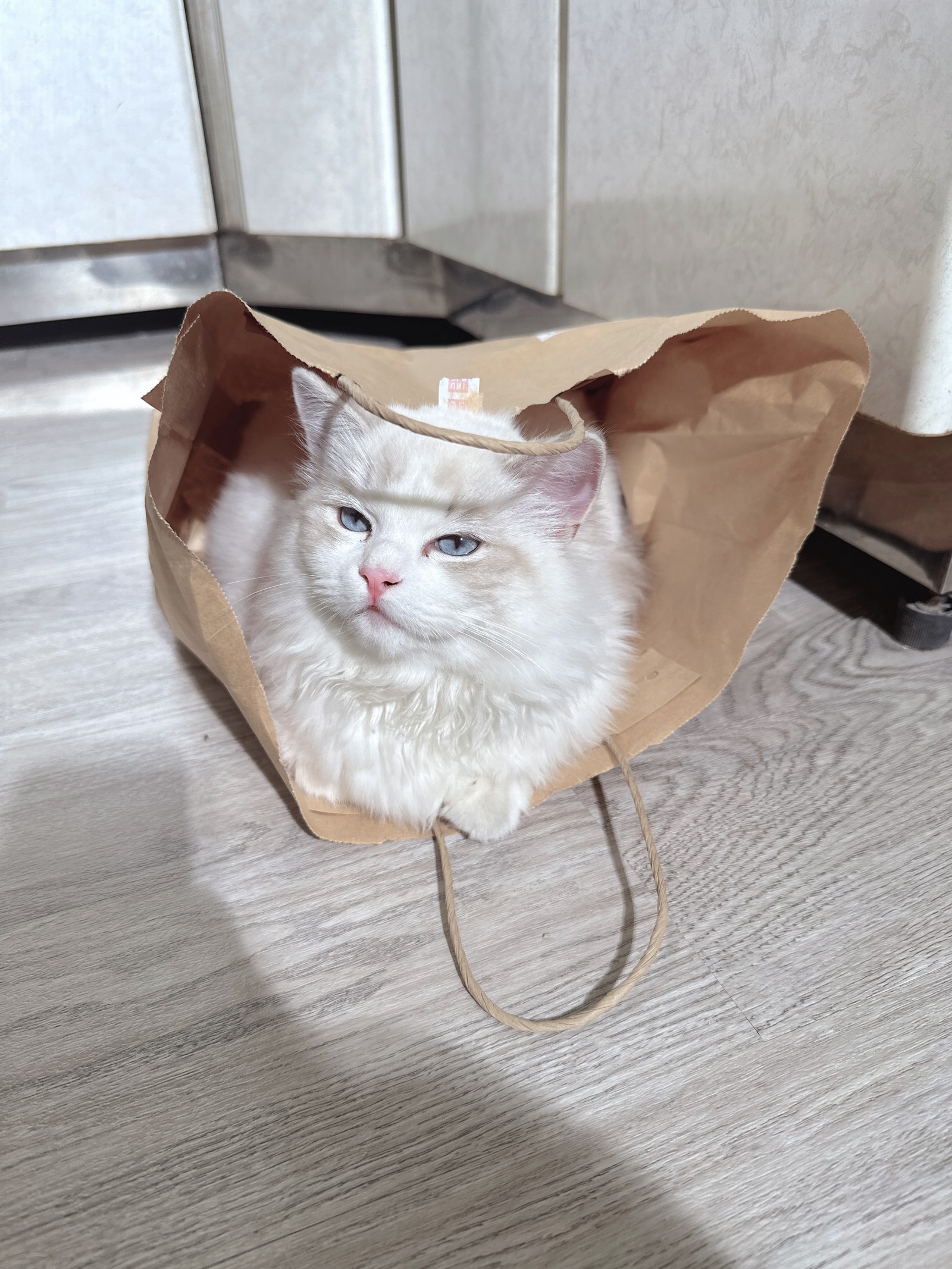 泥泥汝 居家风 私房写真合集｜日常氛围高清摄影（124P｜14V｜423MB）插图7