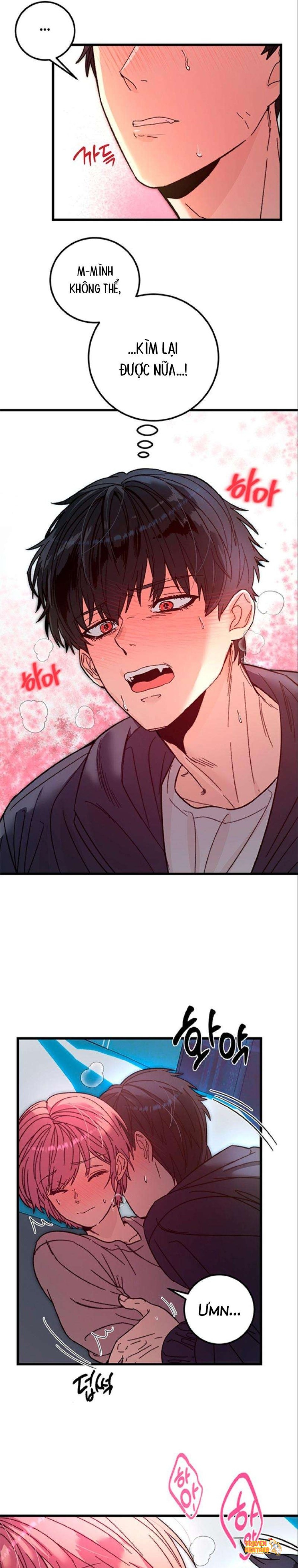 Xem ảnh [18+] Vị Ngọt Đẫm Máu - Chapter 1 - tmpgy0qubz0 - Truyenhentaiz.net