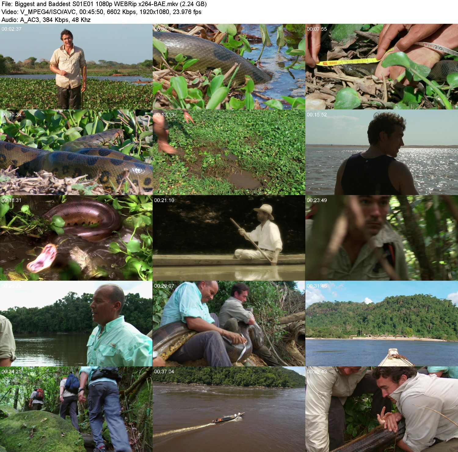 [Image: qjad0gr736oe.jpg]