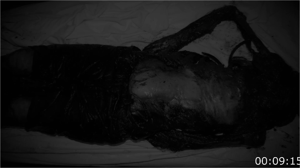 [Image: xym9k674vajv.png]