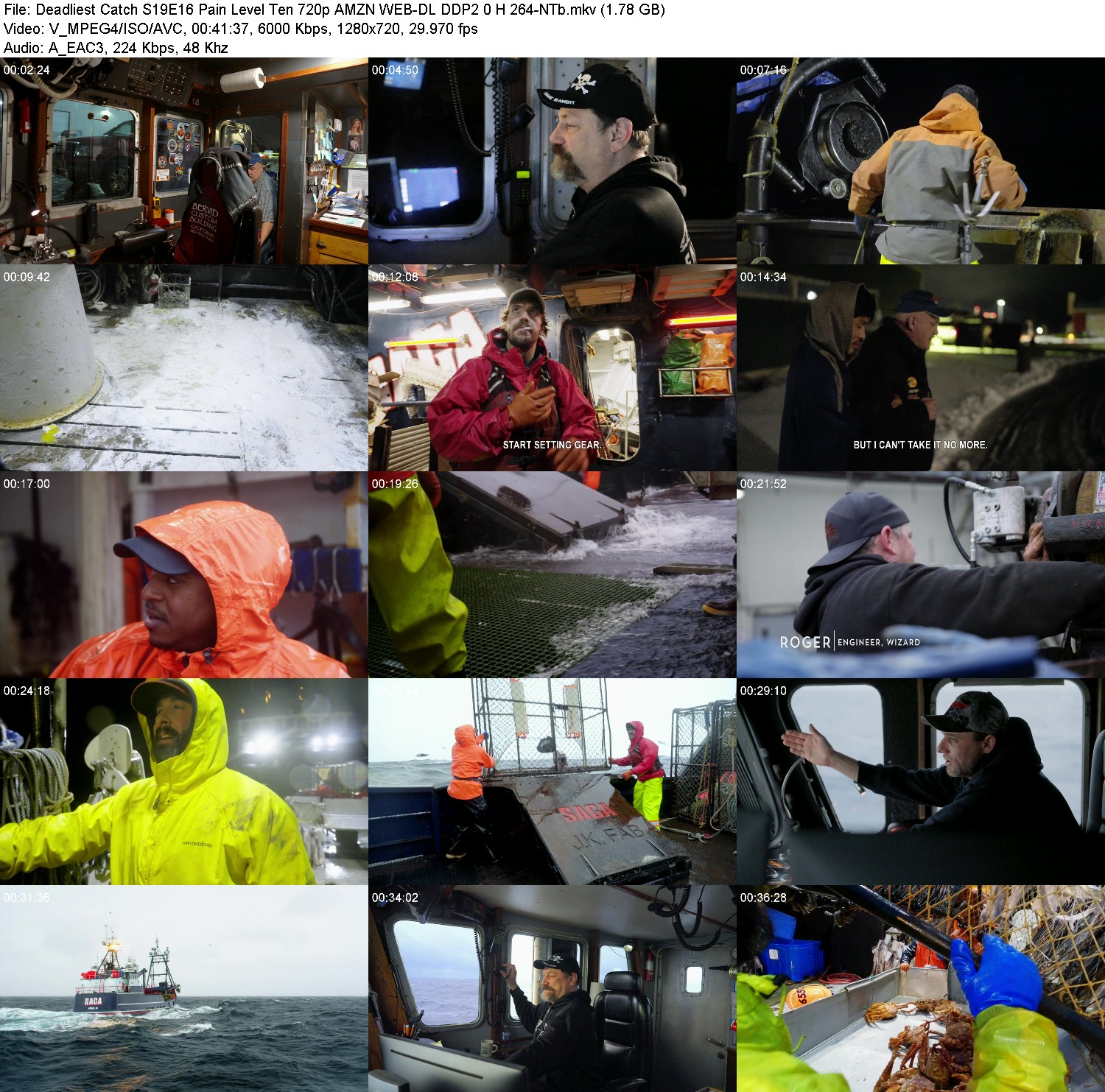 [Image: 11tg6pvdv2mf.jpg]