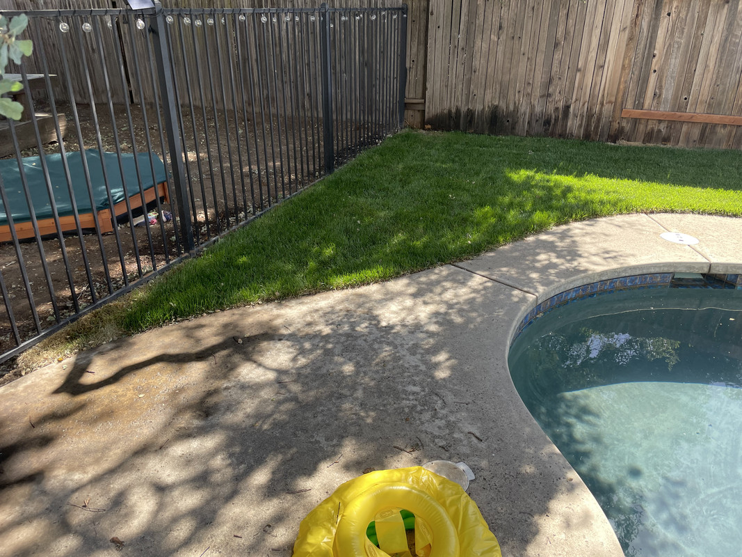 1ABF3F73-88FE-4334-B595-B4A0065C6D1B