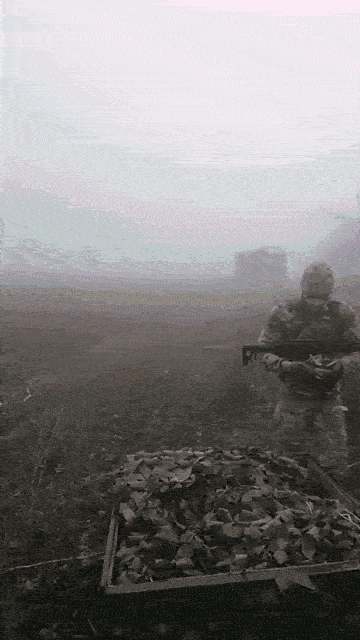 https://i.postimg.cc/J40Ff2Js/1-(1)-(1).gif