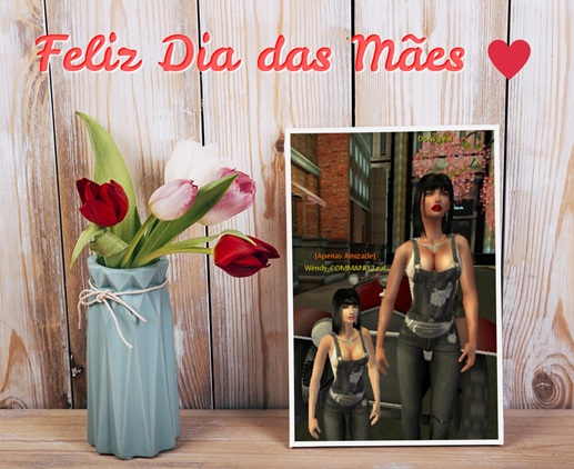 Dia-das-Maes