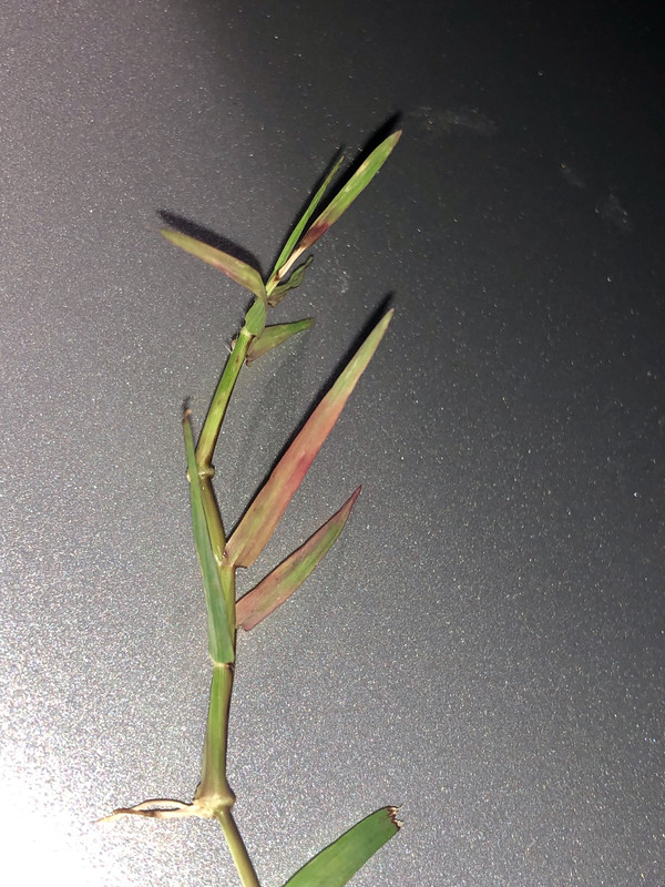 C96FE769-C7B9-4E15-AA7B-D68C0E44EAA4