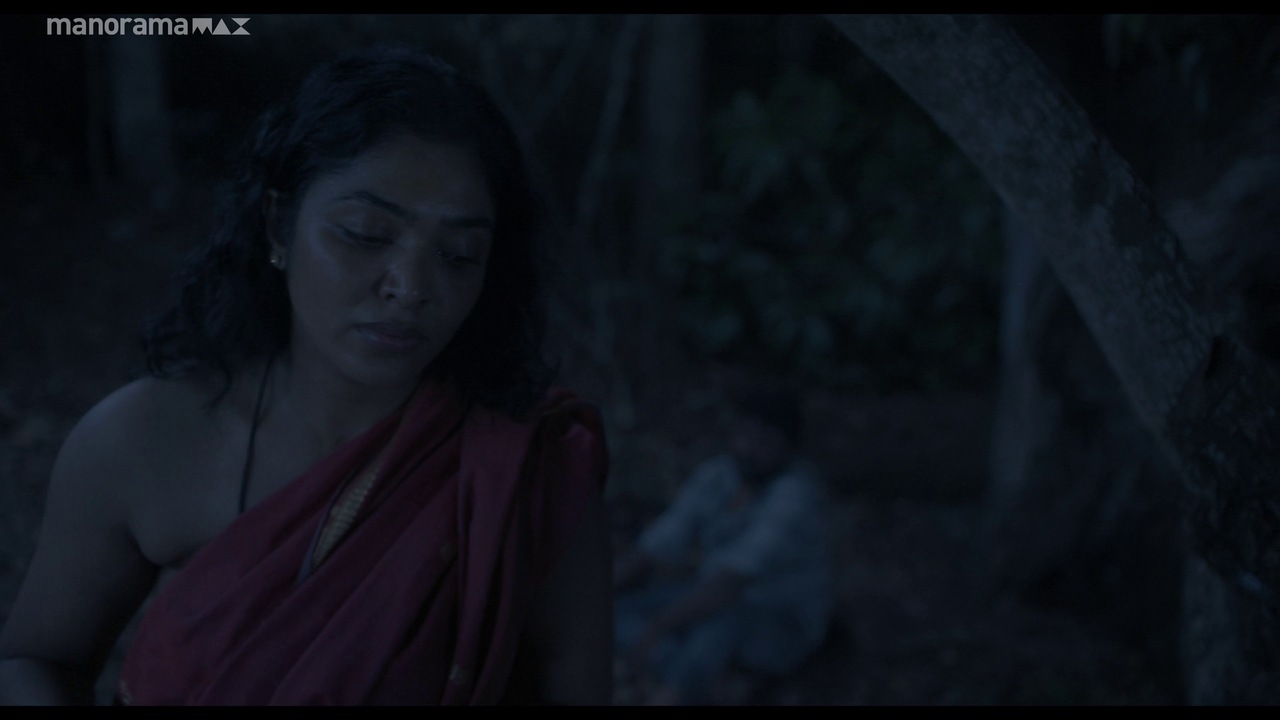 vlcsnap 2026 02 25 12h54m38s238