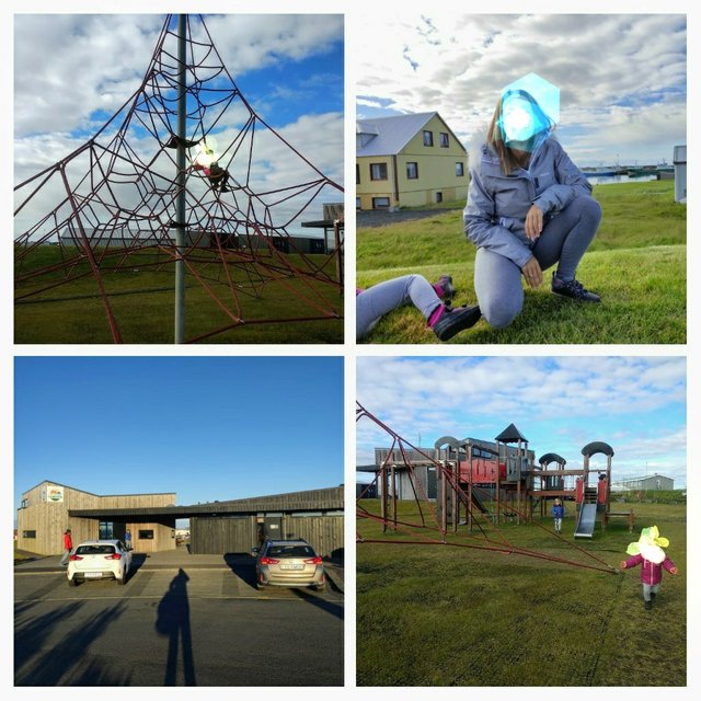 Islandia 2020: En autocaravana y sin coronavirus - Blogs of Iceland - --Día 2 (23 julio): Ballenas y Blue Lagoon (10)