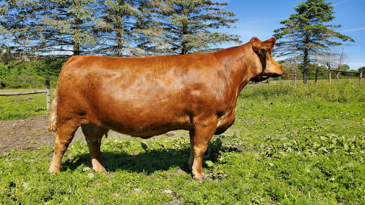 811U Talker 6-18-21 13 yrs