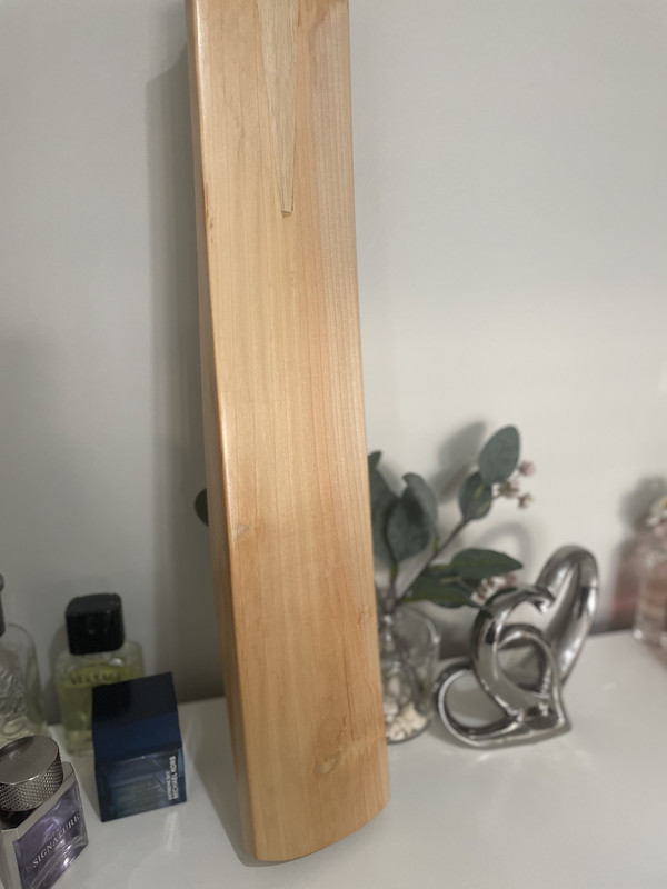 E69FC1B9-E17D-4E24-88D6-C96A5F49A8EF