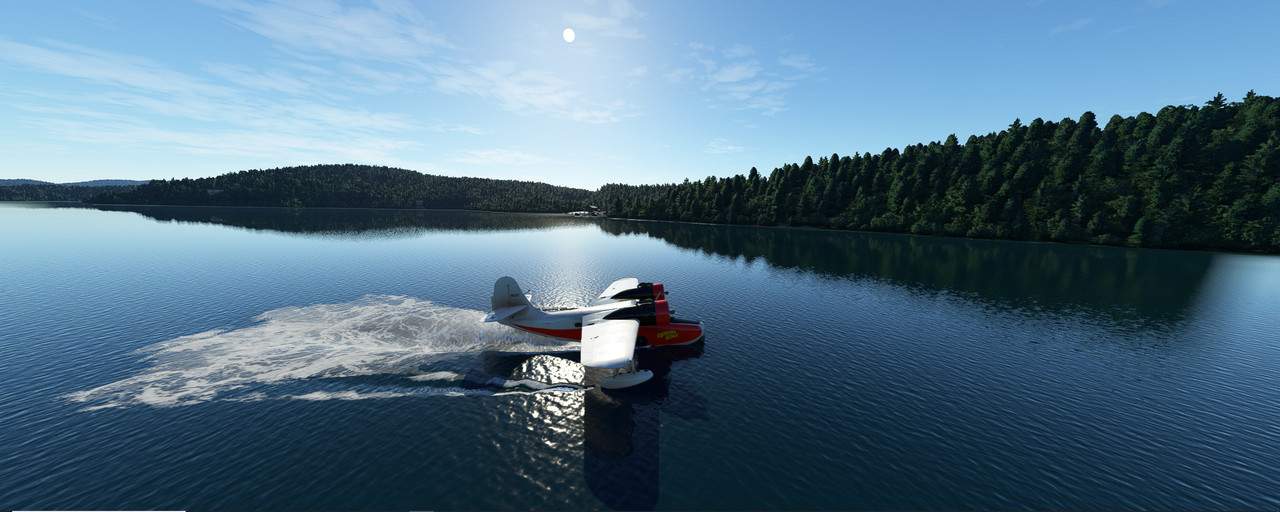 Goose-5.jpg