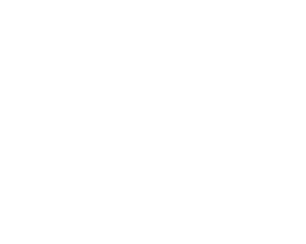 Autumn Witchery (85)