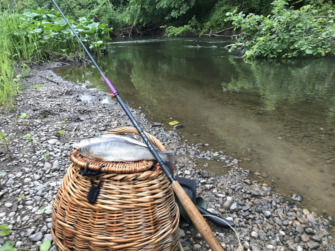 D8531F73-34D7-4B1A-8C24-599E2A5E8DD2