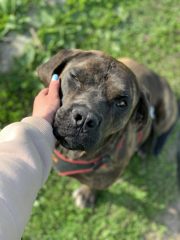 A2B4A296-7F71-4178-B3CF-2806FF20988C