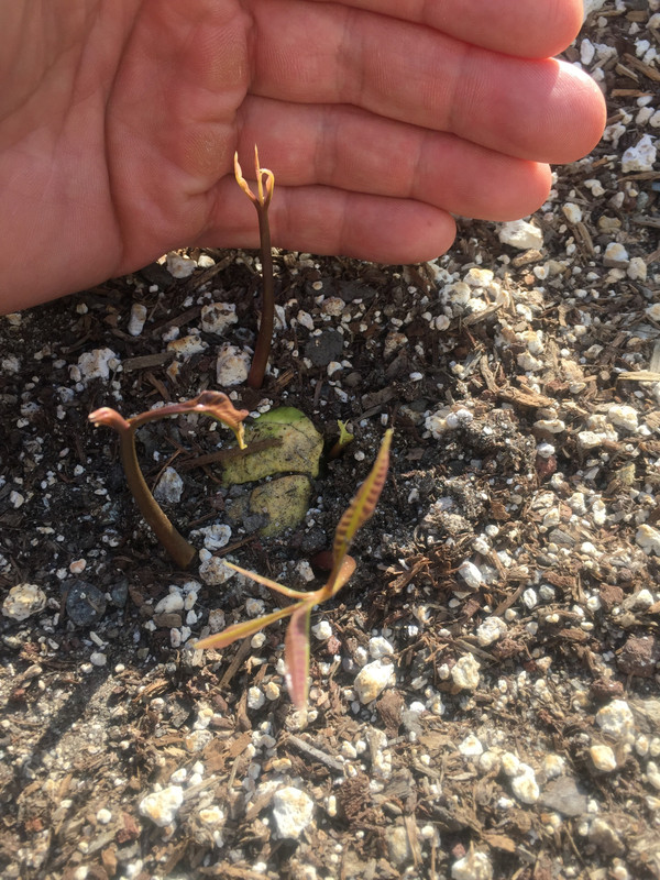 3F335A45-51D5-4E0F-8BB9-21B21CBFA383