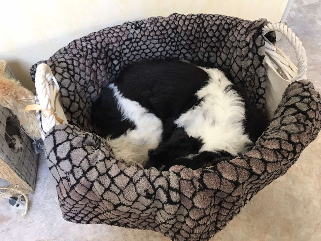 038F44E6-C6A5-418B-A9E1-9F786AD3DFAB