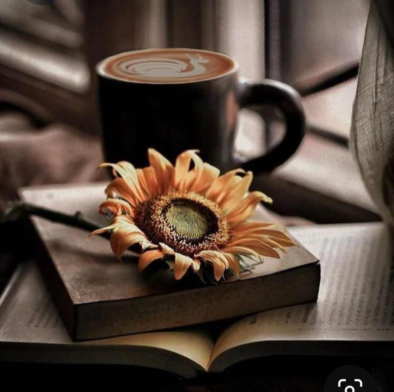 Screenshot_20231008_215048_Pinterest