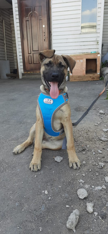 Изображение WhatsApp 2024-08-06 в 14.21.46_c9713a56