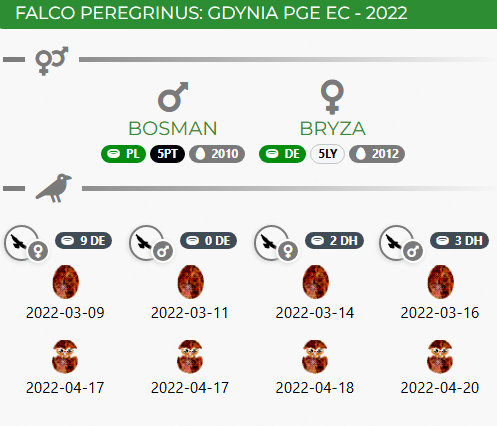 Gdynia-EDF - Pagina 2 Przechwytywanie-w-trybie-pe-noekranowym-10-05-2022-224318