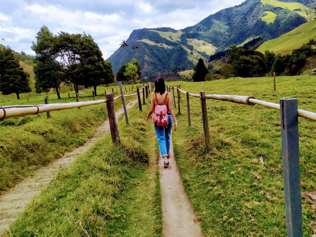 Colombia por libre en 18 días - Blogs de Colombia - Valle del Cócora y Salento (18)