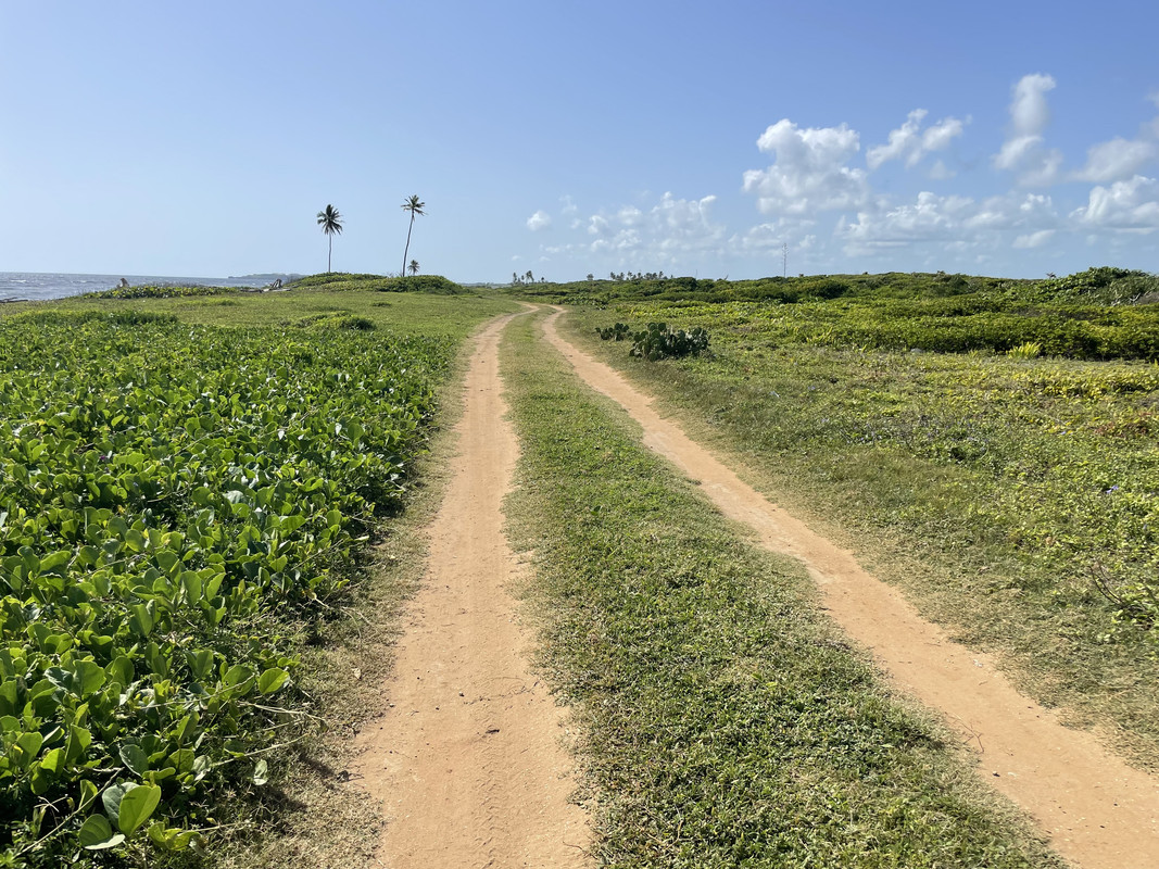 Skype_Picture_2022_08_15T23_28_30_639Z