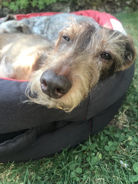 [Image: IMG-4266.jpg]