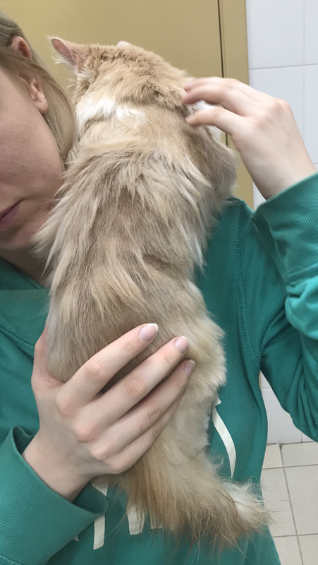 694449E5-6434-486B-96B5-1D3C6979DE7F