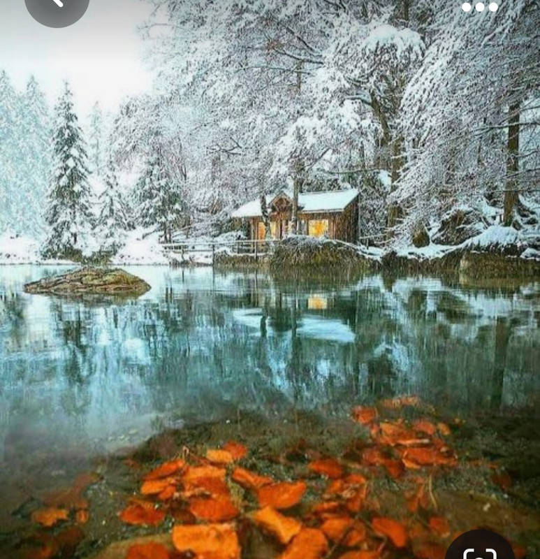 Screenshot_20231019_201653_Pinterest