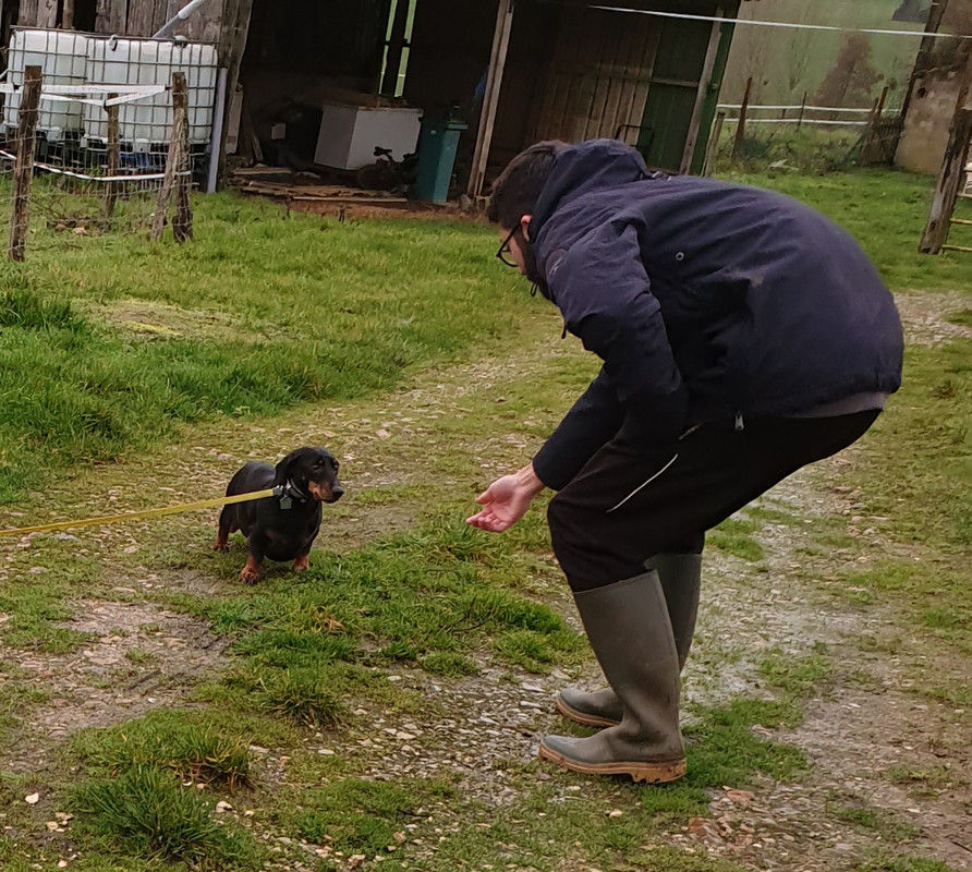 [Image: 20210207-091942.jpg]