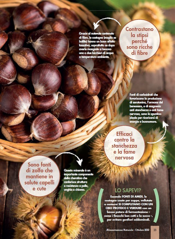 Alim Nat Ott 2022 (4)