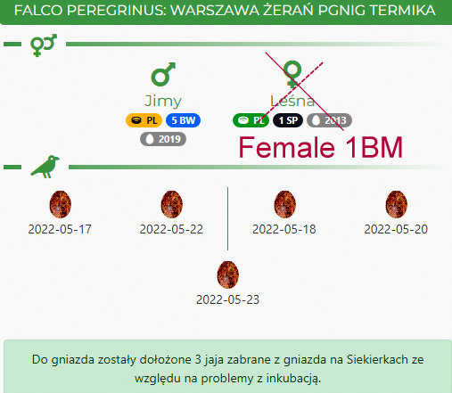  WARSZAWA PGNIG TERMIKA ŻERAŃ Przechwytywanie-w-trybie-pe-noekranowym-02-06-2022-160740-001