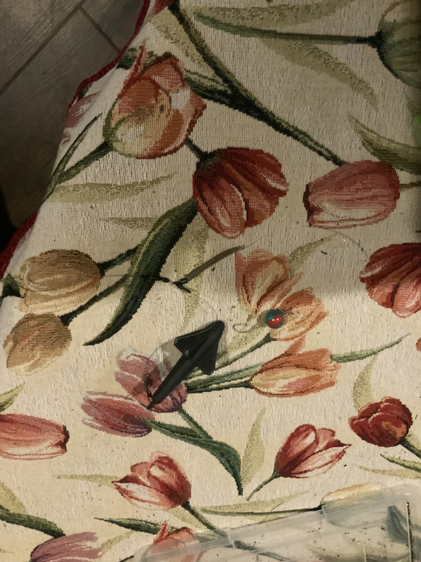 3E9E233B-C421-4D1F-9DE2-E369440F702A