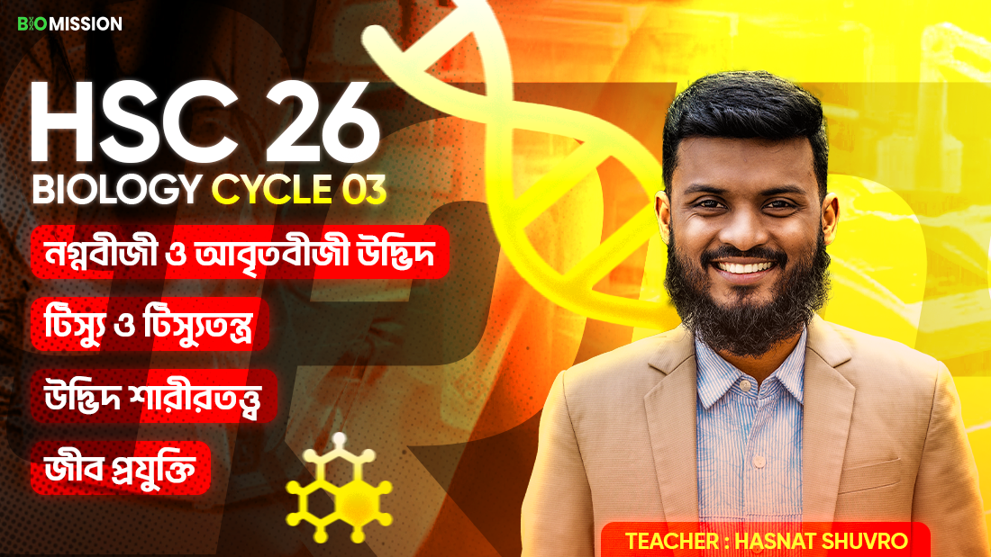Cycle 3
