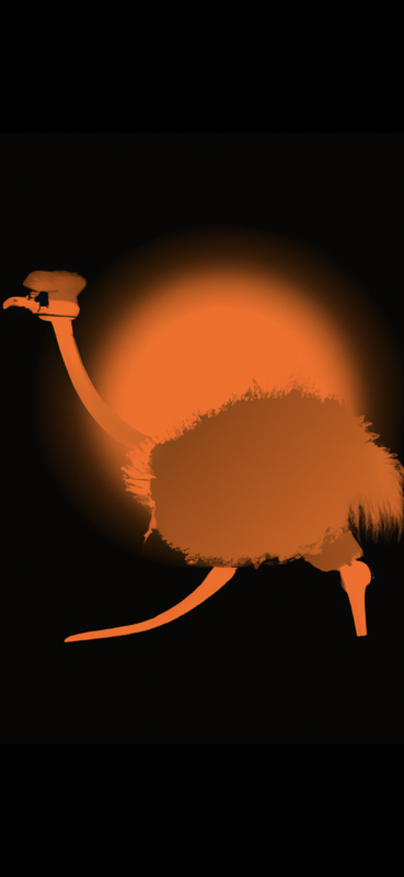 Orange Bird's avatar