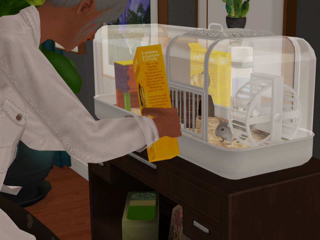 Sims2-EP9-RPC-2022-12-09-23-09-44-90