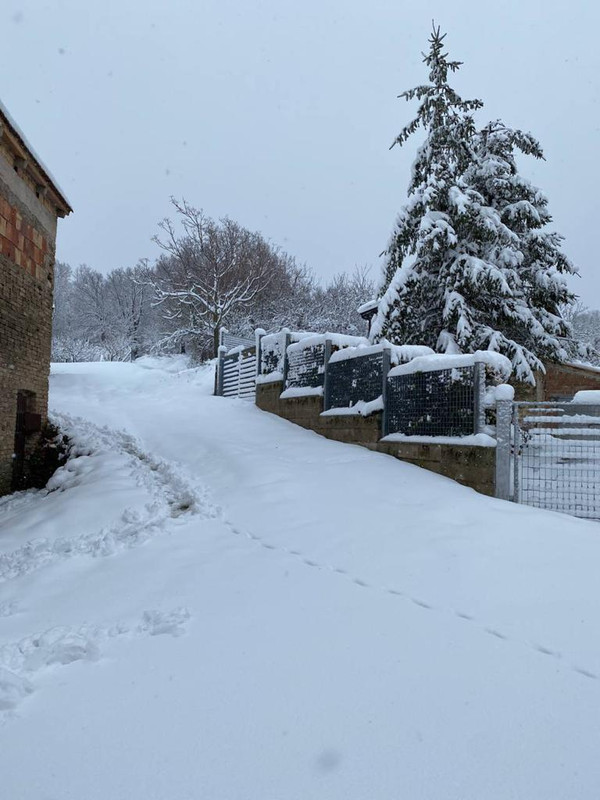 BB4A1A94-8319-437F-9039-02618480AC6C