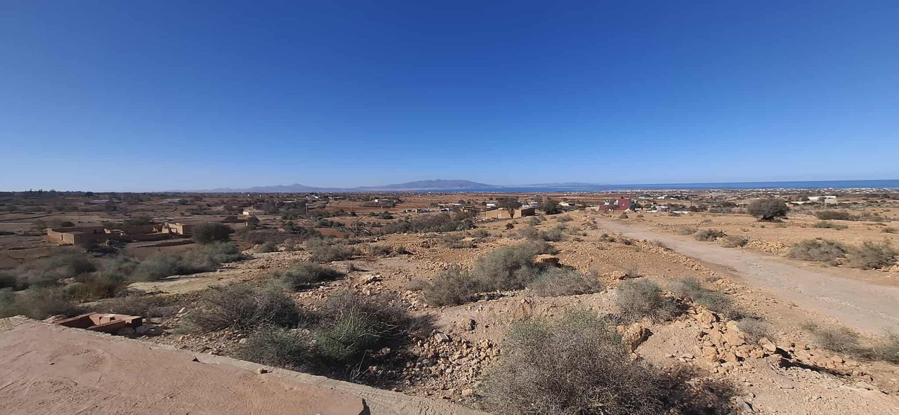 586274188-854934821042901-948345040459878042-n