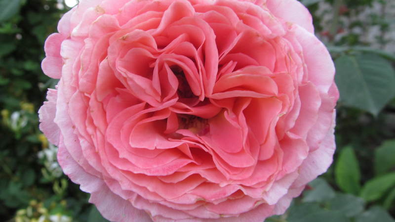 027