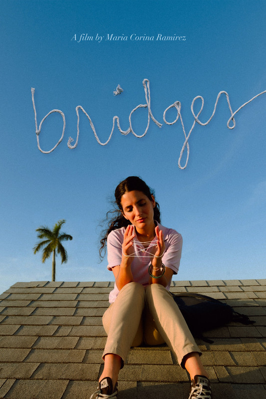 Bridges 2022 1080p WEB DL AAC2 0 H 264 CMRG