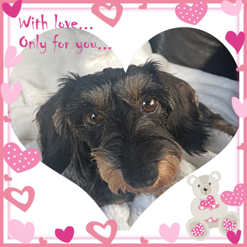 [Image: IMG-7756.jpg]