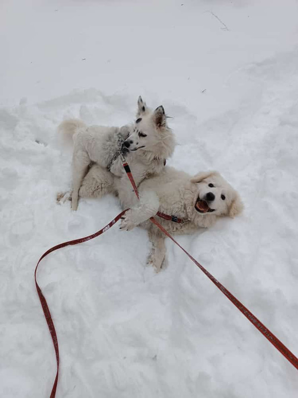 ECF2D8E2-F89B-4087-B3DB-9733671ABB95