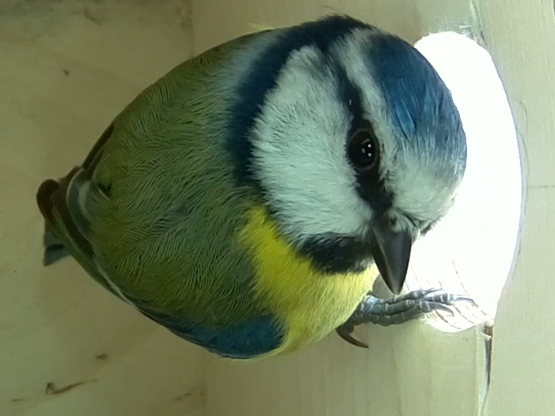 Untitled Project (Time 0_00_16;23)8x6