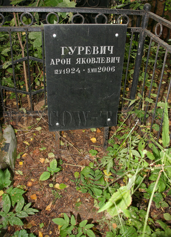 gurevich-ay-old