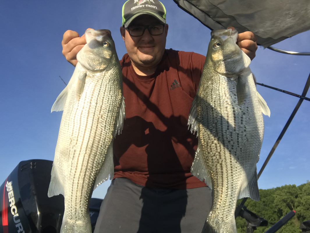 33468D77-37D3-4148-9928-DB18575187FD